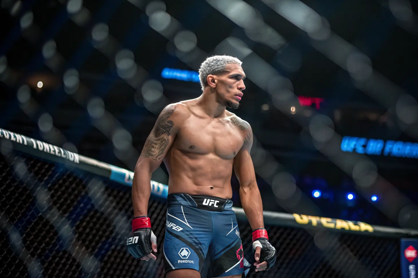 Профессиональная карьера: от проспекта к чемпиону