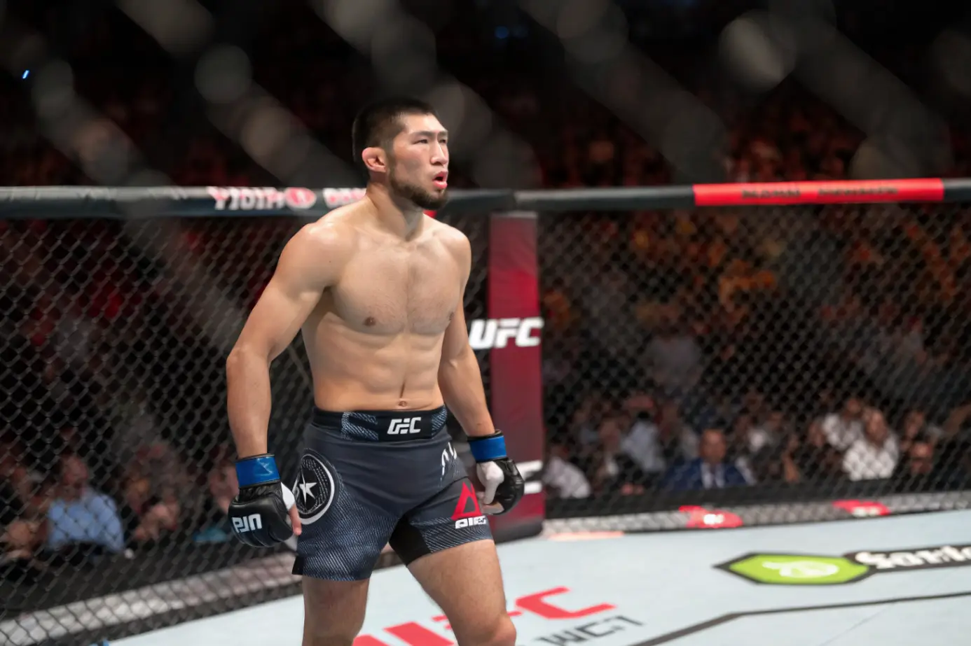 Самые значимые поединки