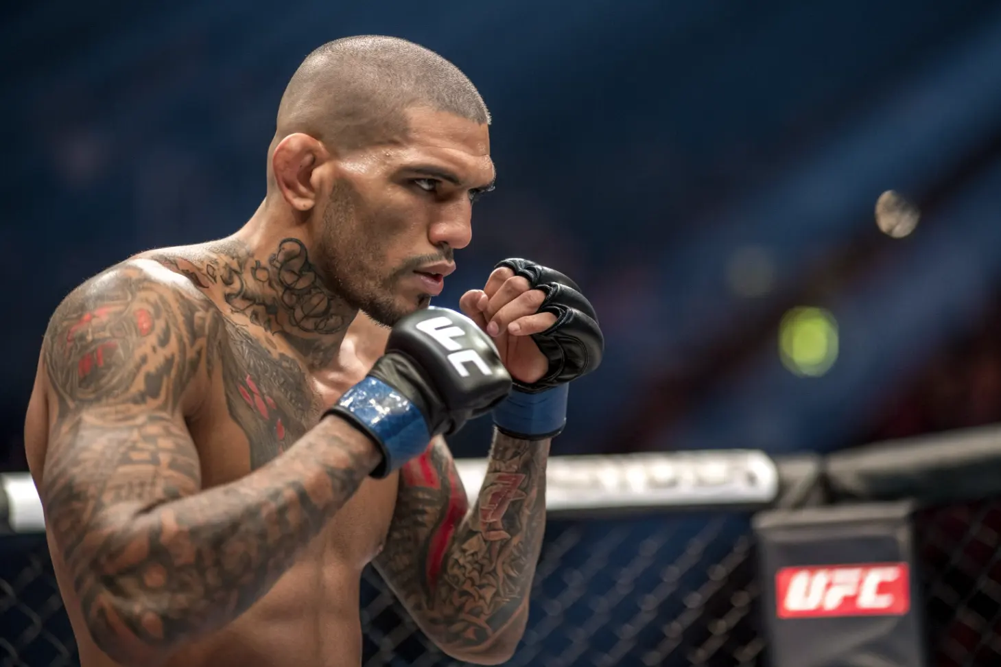 Рекорд и статистика